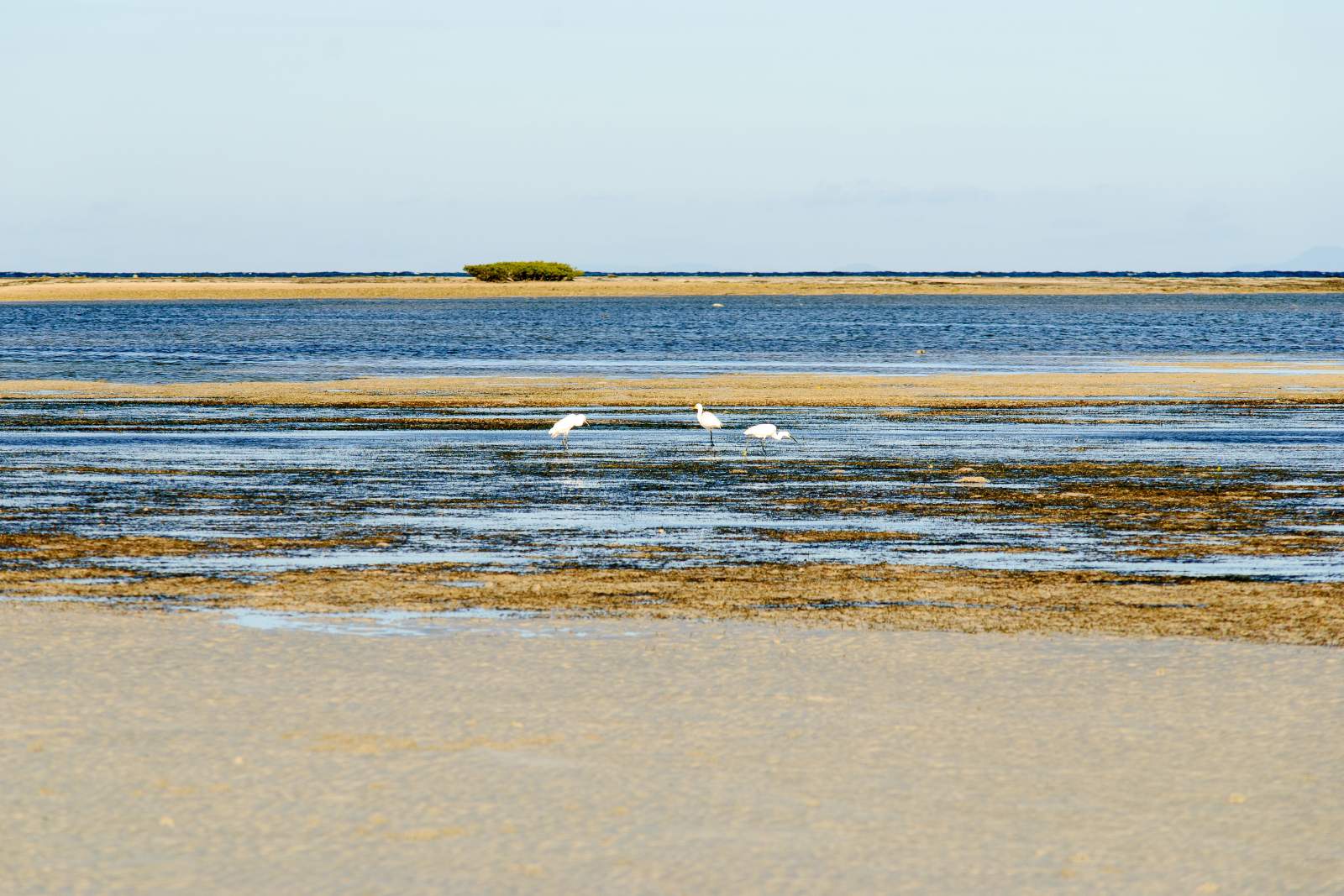 Cagbalete Island Tagak birds and Bonsai Island on the horizon