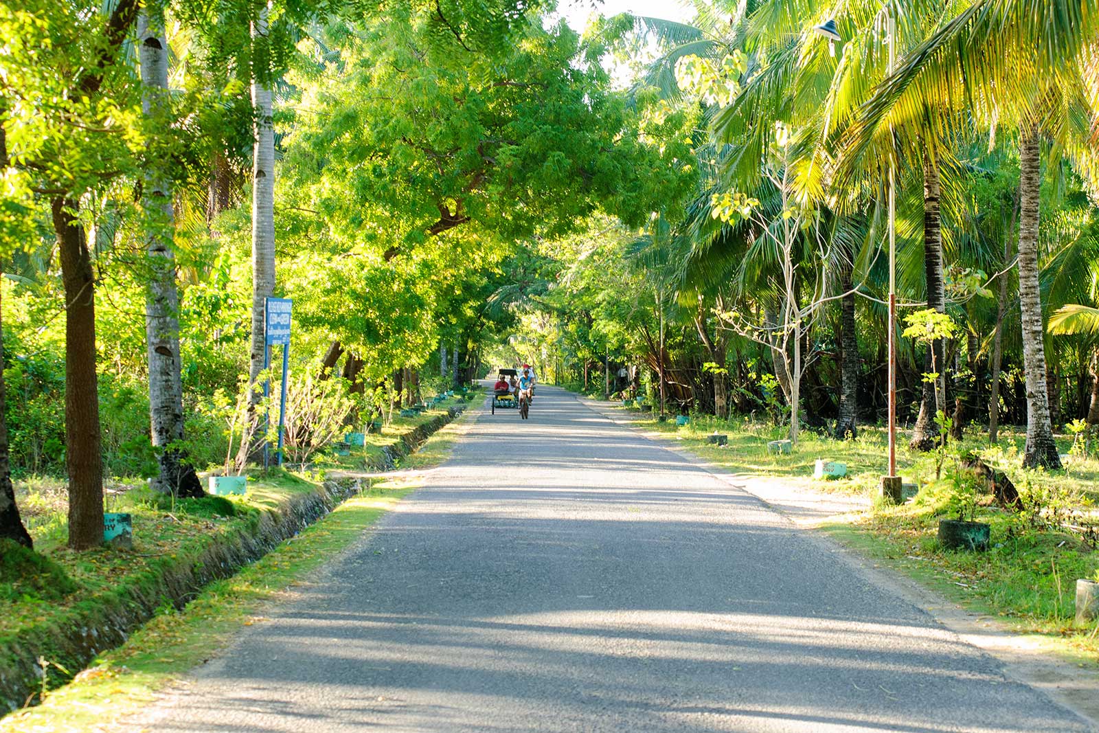 Tree lined back roads, Bantayan Island